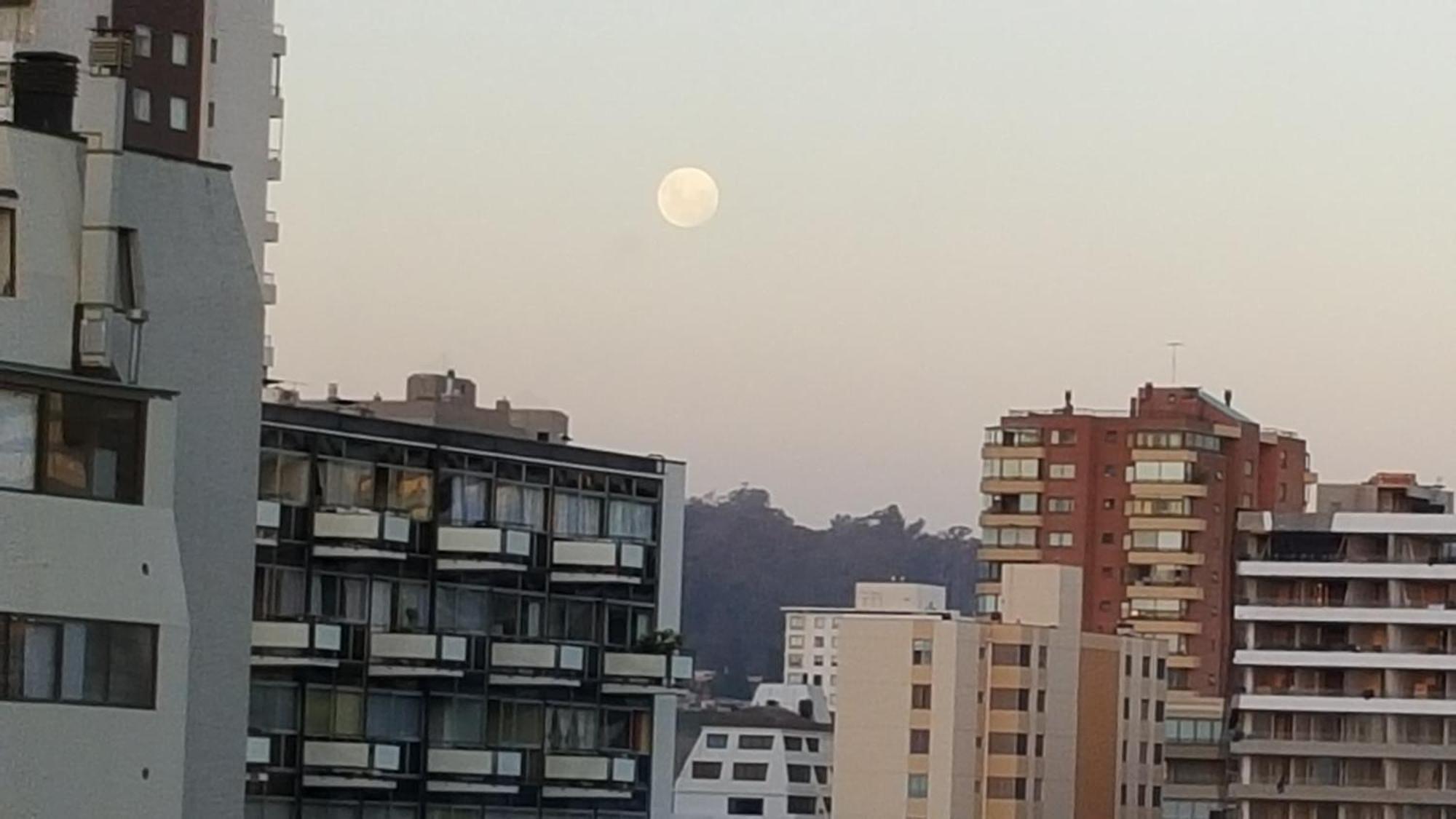 Edificio Maya Vina del Mar Rum bild